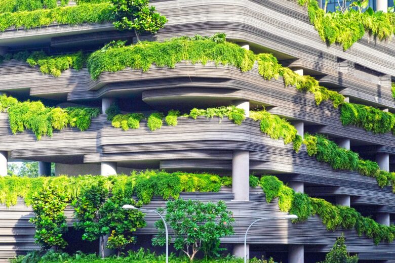 The Charm of Hanging Gardens: Creating Vertical Green Spaces