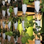 DIY Hanging Gardens: Creative Solutions for Vertical Planting